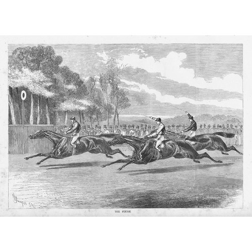 Horse racing the finish - horse,