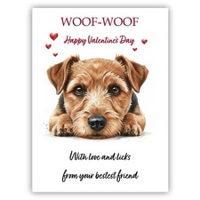 Norfolk Terrier Dog