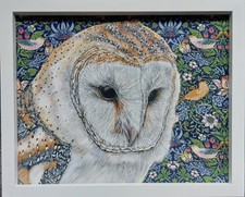 Original wildlife Barn Owl