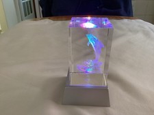 Colour changing dolphin - dolphin, glass