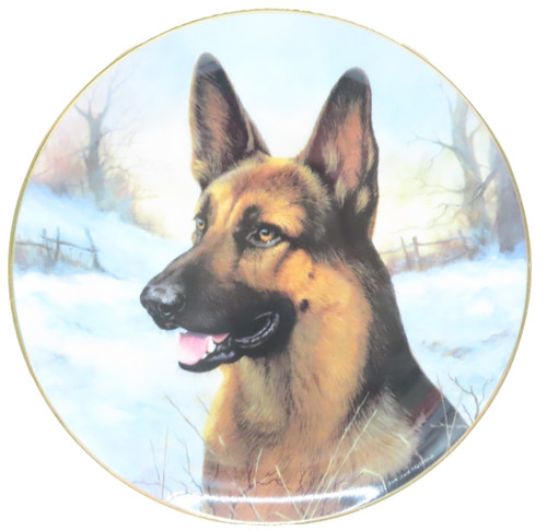 German sheperd winter friend - winter,
