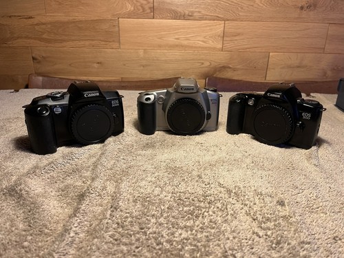 Canon eos cameras 5000 500 - /,