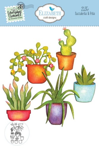 Succulents pots die - succulents,