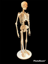 Laser Cut Wooden Human