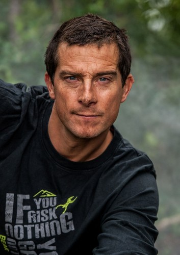 658372 bear grylls wall - bear,