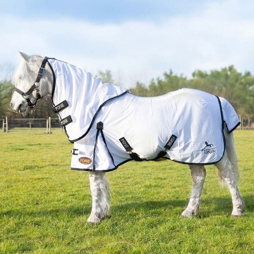 Gallop equestrian ponie dual - gallop,