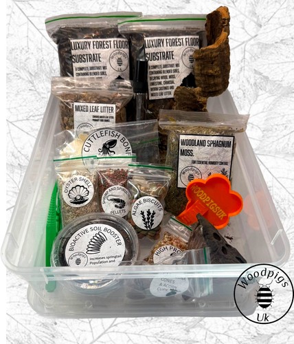 Isopod millipede invert box - isopod,