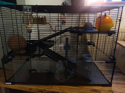 Two tier metal - tier, hamster