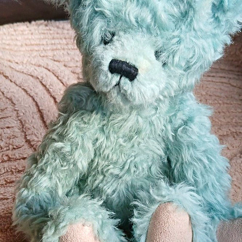 Charlie bears agatha - bears,