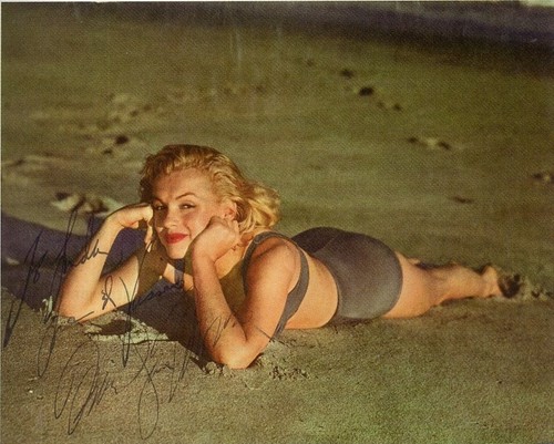 Marilyn monroe signed - marilyn,