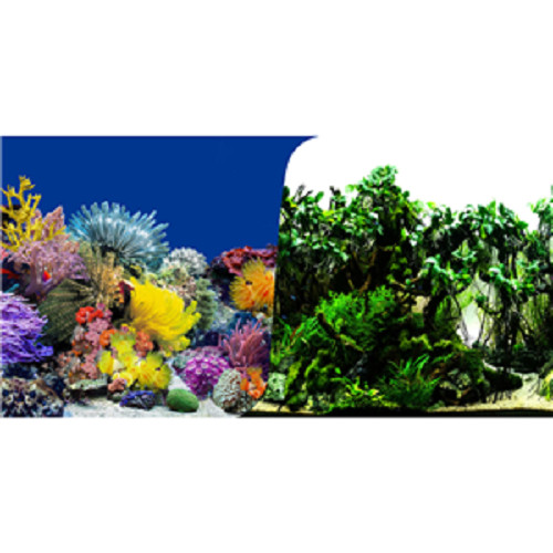 Seaview reef planted quality - planted,