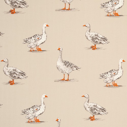 Clarke and geese - clarke,