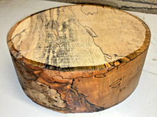 250X75MM LOT 570A SPALTED