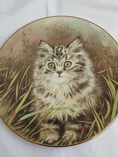 Royal worcester wild - worcester,