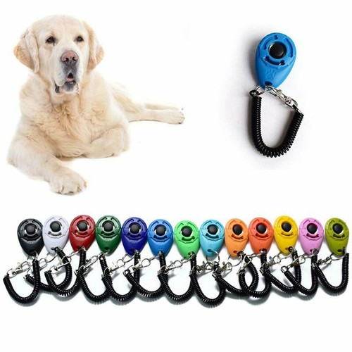 Clicker trainer puppy - clicker, pet
