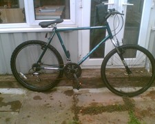 mens  raleigh activator bike