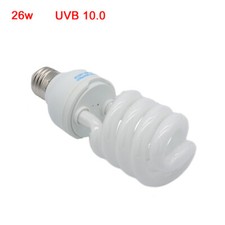 Pet Screw Bulb Plant Reptile