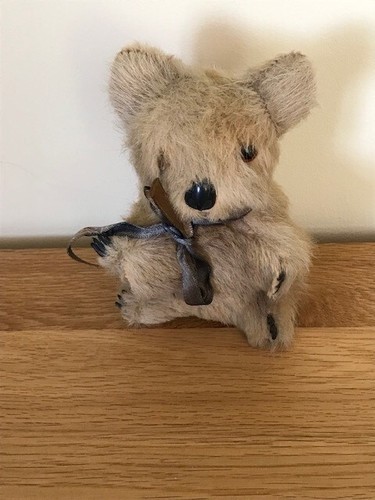 Vintage koala bear - koala,