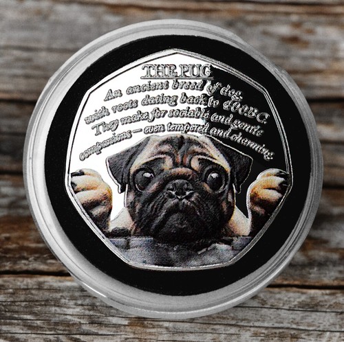 The pug silver commemorative - the,