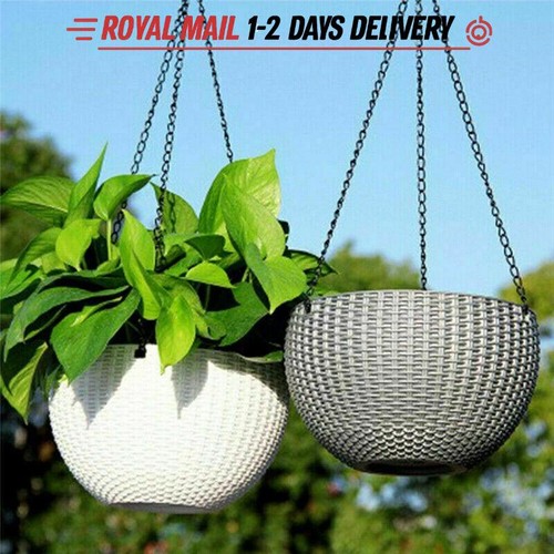 Hanging baskets flower - 2,