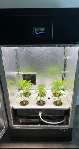 3ft led califlowerbox - 3ft,
