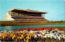 Vtg Postcard Having a Wonderful Time at Woodbine Race Track, Toronto Canada