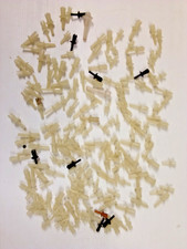 BRITISH LEYLAND TRIM &