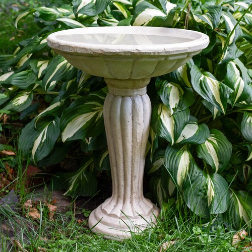 Grecian concrete bird - concrete, bath