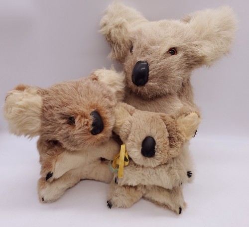 Vintage australian koala - australian, bear