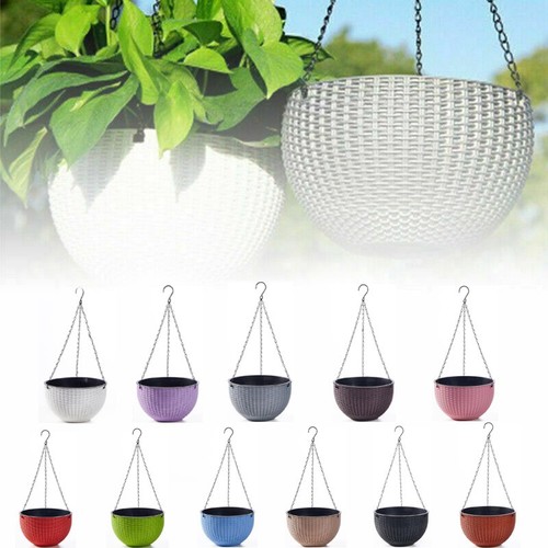 Hanging baskets flower - hanging,