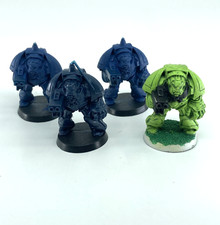 Space Marines / Terminator