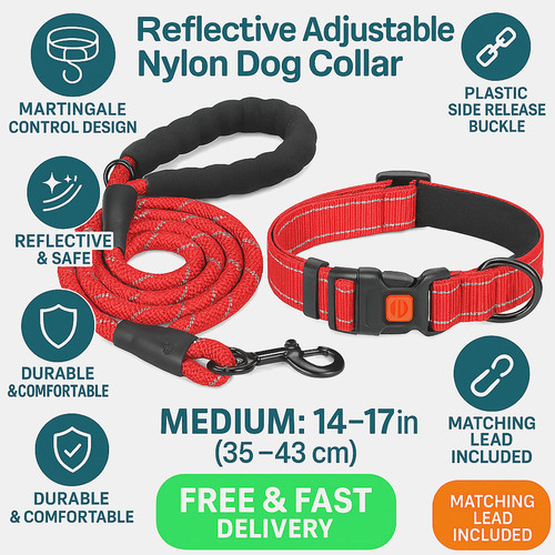 Reflective dog collar leash - &,