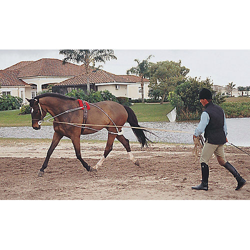 Pessoa lunging system horse - lunging,