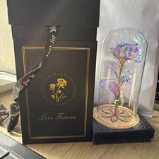 Exquisite Love Forever Rose in Glass Dome - Light Up -  