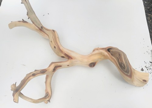 Sandblasted manzanita - lg,