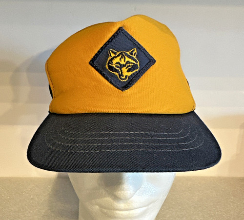 Vintage boy scouts - vintage, cub