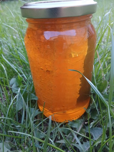 Raw honeycomb essex - |,