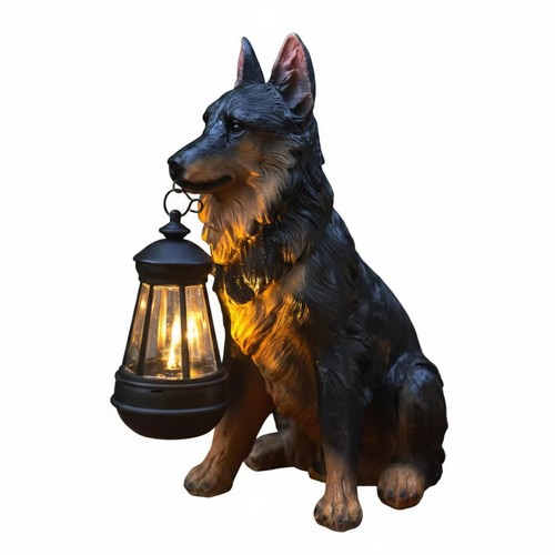 Solar dog garden - garden, no