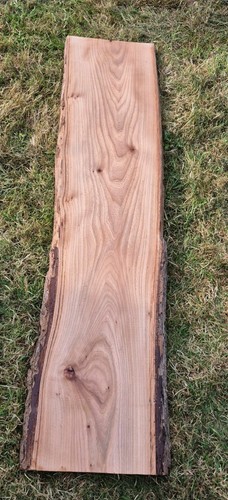 English elm character - english,