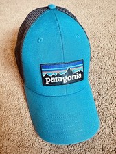 Patagonia P6 Logo LoPro