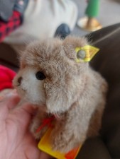 Steiff BROWNY BEAR 1445/12