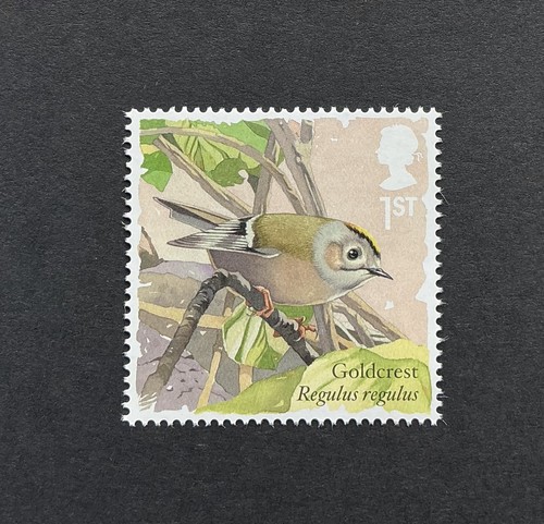 Goldcrest bird mnh - goldcrest,