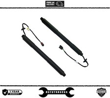 AUTO TAILGATE BOOT (PAIR)