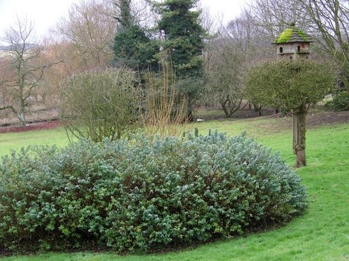 Photo 6x4 dovecote - 6x4, wherwell