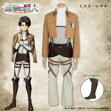 Attack on Titan Levi Survey