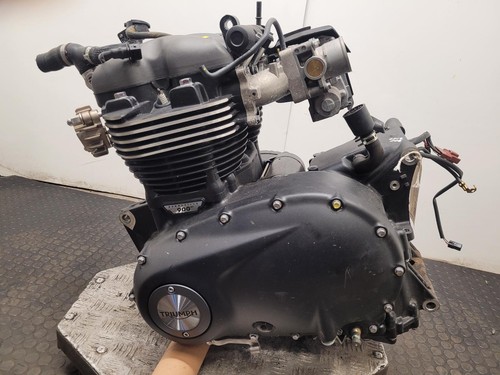 Triumph scrambler 900 engine - triumph,