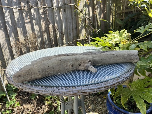 59cm weathered character - weathered,