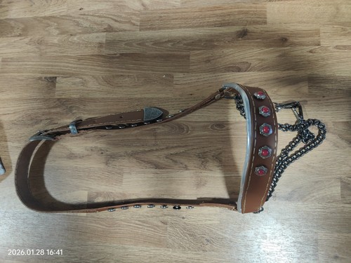 Miniature horse show halter