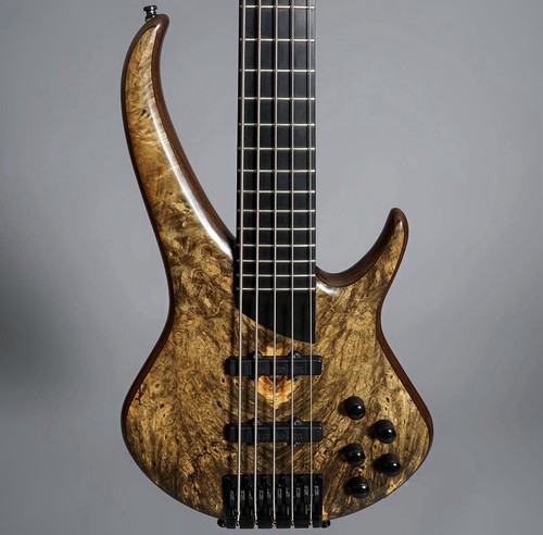 Sei flamboyant string bass - flamboyant,