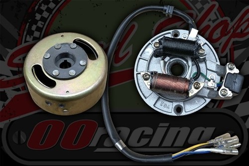 Pit bike monkey stator - , &